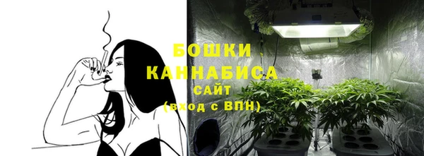 шишки Балахна
