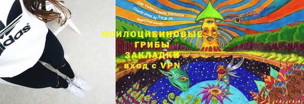 a pvp Беломорск