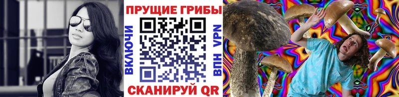Псилоцибиновые грибы мухоморы Терек