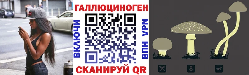 Галлюциногенные грибы Psilocybe  mega вход  это состав  Терек 