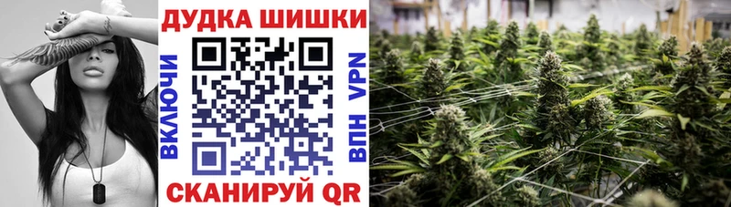 Канабис индика блэк спрут ссылка Терек